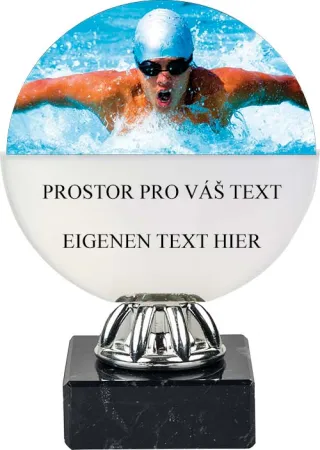 Akrylátová trofej ACL6NM12 Výška cm: 14