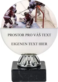 Akrylátová trofej ACL6NM05 Výška cm: 14