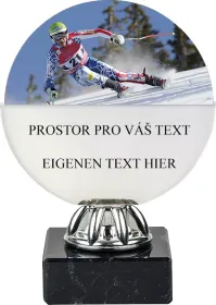 Akrylátová trofej ACL6NM06 Výška cm: 17