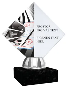 Akrylátová trofej ACL15NM10 Výška cm: 19