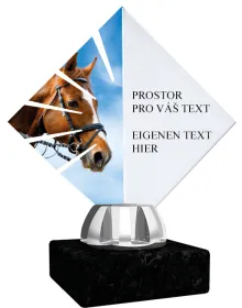 Akrylátová trofej ACL15NM20 Výška cm: 19
