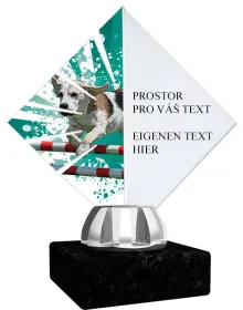 Akrylátová trofej ACL15NM30 Výška cm: 16