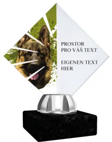 Akrylátová trofej ACL15NM31 Výška cm: 11