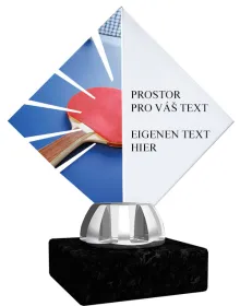 Akrylátová trofej ACL15NM39 Výška cm: 19