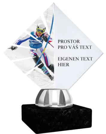 Akrylátová trofej ACL15NM50 Výška cm: 13