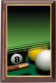 Plaketa PLP3M16 | Billiard Výška cm: 15