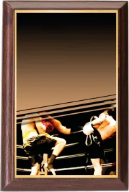 Plaketa PLP3M21 | Bojová umění Výška cm: 15