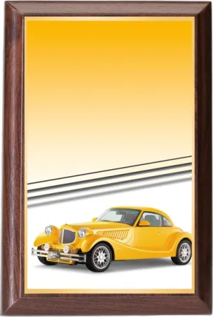 Plaketa PLP3M28 | Motorsport Výška cm: 15