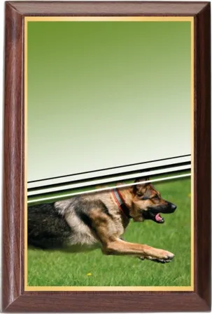 Plaketa PLP3M33 | Kynologie Výška cm: 15