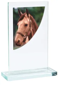 Skleněná trofej CR3061M15 | Jezdectví Výška cm: 16