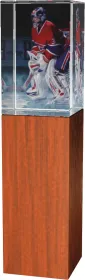 Skleněná trofej - kombinace skla a dřeva CR4021M4 | Hokej Výška cm: 18, Šířka cm: 5