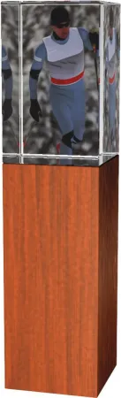 Skleněná trofej - kombinace skla a dřeva CR4021M6 | Běžky Výška cm: 18, Šířka cm: 5