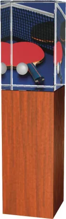 Skleněná trofej - kombinace skla a dřeva CR4021M9 | Stolní tenis Výška cm: 16, Šířka cm: 5
