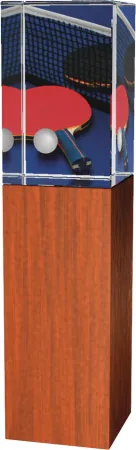 Skleněná trofej - kombinace skla a dřeva CR4021M9 | Stolní tenis Výška cm: 16, Šířka cm: 5