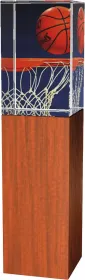 Skleněná trofej - kombinace skla a dřeva CR4021M11 | Basketball Výška cm: 18, Šířka cm: 5