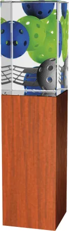 Skleněná trofej - kombinace skla a dřeva CR4021M12 | Florbal Výška cm: 18, Šířka cm: 5