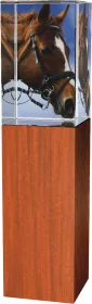 Skleněná trofej - kombinace skla a dřeva CR4021M16 | Jezdectví Výška cm: 20, Šířka cm: 5