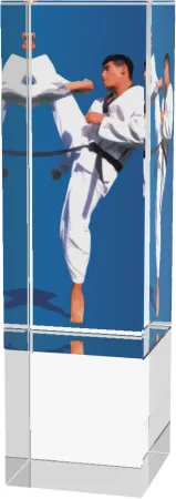 Skleněná trofej CR4034M14 | Bojová umění Výška cm: 13