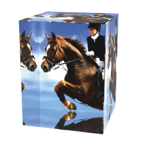 Skleněná trofej CR3065M8 | Jezdectví Výška cm: 10, Šířka cm: 5, Hloubka cm: 5