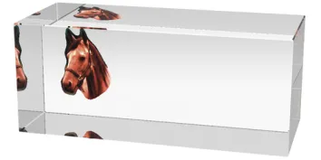 Skleněná trofej CR3066M12 | Jezdectví Výška cm: 5, Šířka cm: 12, Hloubka cm: 5