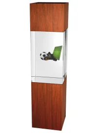 Skleněná trofej - kombinace skla a dřeva CR3067M2 | Fotbal Výška cm: 20, Šířka cm: 5, Hloubka cm: 5