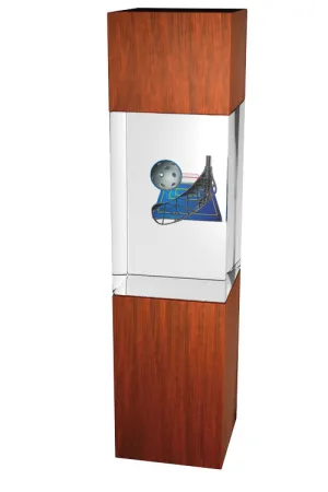 Skleněná trofej - kombinace skla a dřeva CR3067M9 | Florbal Výška cm: 24, Šířka cm: 5, Hloubka cm: 5