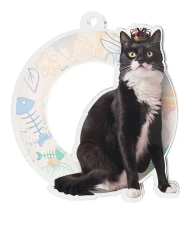 Akrylátová medaile MDA0010M59 | Kočky Stuha: ST15, MD průměr: 7