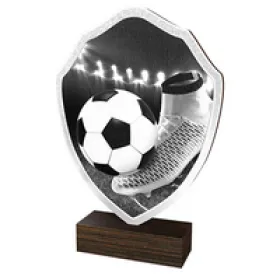 Dřevěná plaketa TFRW007 | Fotbal Výška cm: 13,5