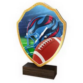 Dřevěná plaketa TFRW021 | Americký fotbal Výška cm: 16