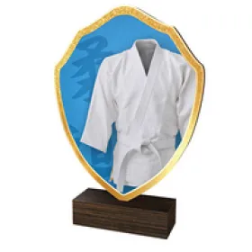 Dřevěná plaketa TFRW142 | Bojová umění Výška cm: 16