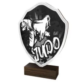 Dřevěná plaketa TFRW152 | Bojová umění Výška cm: 22