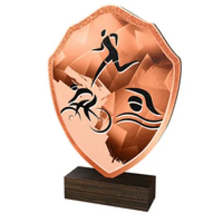 Dřevěná plaketa TFRW189 | Triatlon Výška cm: 14,5