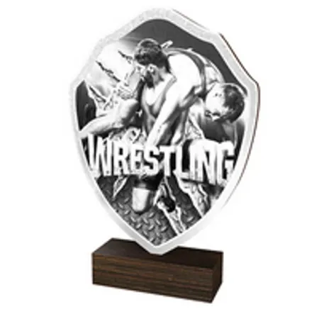 Dřevěná plaketa TFRW208 | Bojová umění Výška cm: 10,5