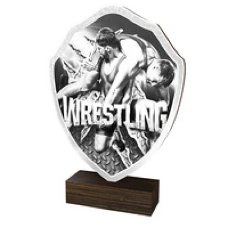 Dřevěná plaketa TFRW208 | Bojová umění Výška cm: 10,5