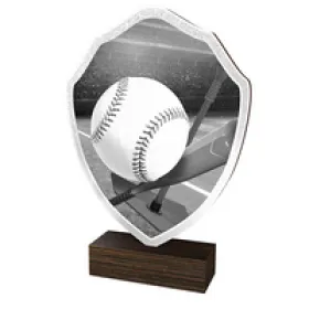 Dřevěná plaketa TFRW220 | T-Ball Výška cm: 14,5