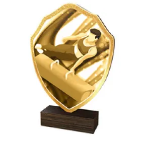 Dřevěná plaketa TFRW235 | Gymnastika Výška cm: 22