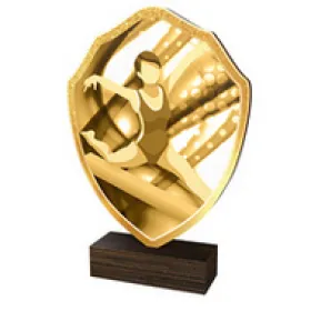 Dřevěná plaketa TFRW239 | Gymnastika Výška cm: 14,5