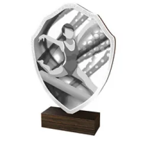 Dřevěná plaketa TFRW240 | Gymnastika Výška cm: 10,5