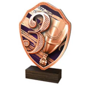 Dřevěná plaketa TFRW244 | Čísla Výška cm: 22