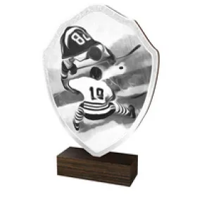 Dřevěná plaketa TFRW088 | Hokej Výška cm: 22