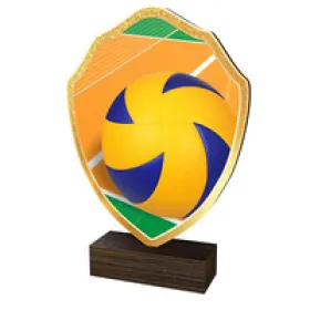 Dřevěná plaketa TFRW065 | Volejbal Výška cm: 20