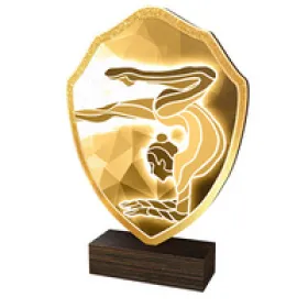 Dřevěná plaketa TFRW111 | Gymnastika Výška cm: 14,5
