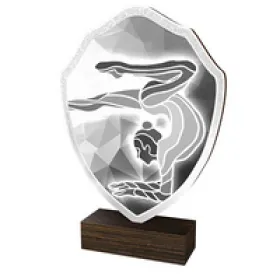 Dřevěná plaketa TFRW112 | Gymnastika Výška cm: 14,5