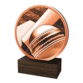 Dřevěná plaketa TFRW581 | Cricket Výška cm: 9,5