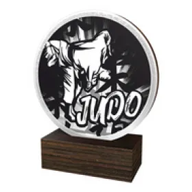 Dřevěná plaketa TFRW592 | Bojová umění Výška cm: 13,5