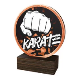 Dřevěná plaketa TFRW601 | Bojová umění Výška cm: 13,5