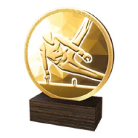 Dřevěná plaketa TFRW679 | Gymnastika Výška cm: 13,5