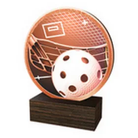 Dřevěná plaketa TFRW689 | Florbal Výška cm: 12,5