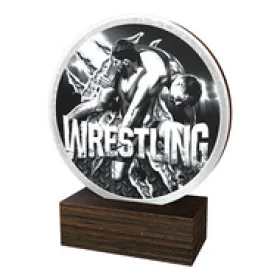 Dřevěná plaketa TFRW708 | Bojová umění Výška cm: 13,5