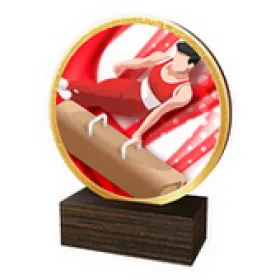 Dřevěná plaketa TFRW733 | Gymnastika Výška cm: 13,5